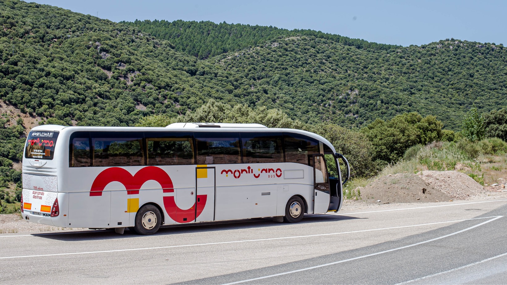 montijano autobuses